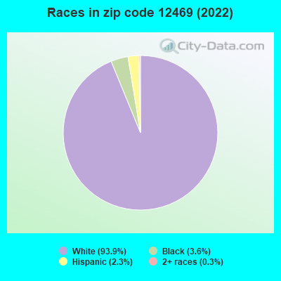 Races in zip code 12469 (2019)