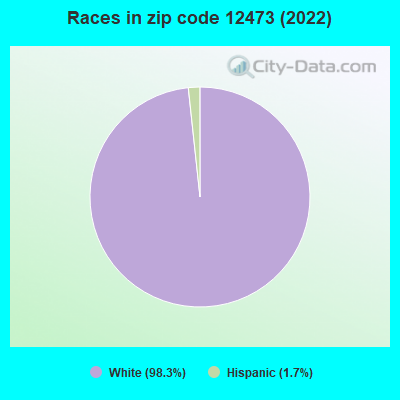 Races in zip code 12473 (2019)