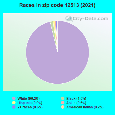 Races in zip code 12513 (2019)