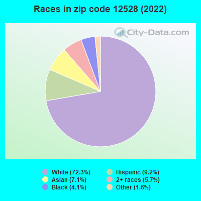 Races in zip code 12528 (2019)