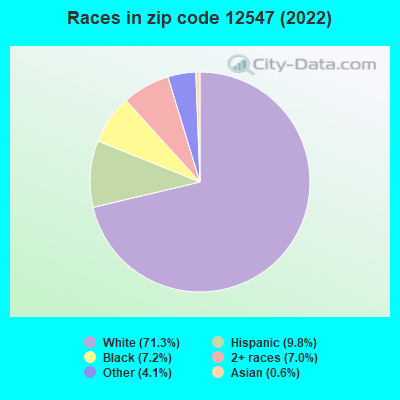 Races in zip code 12547 (2019)