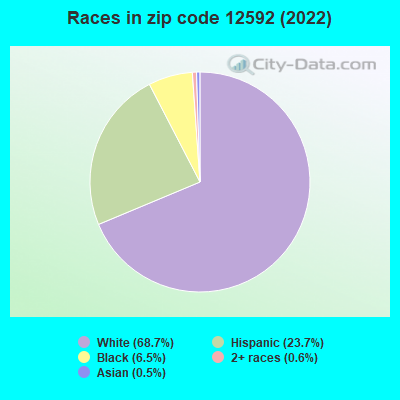 Races in zip code 12592 (2019)