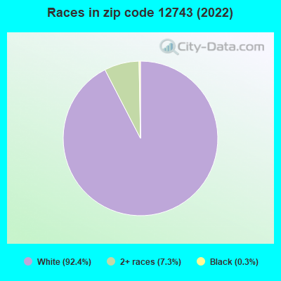 Races in zip code 12743 (2022)
