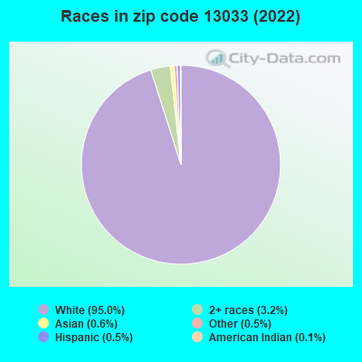 Races in zip code 13033 (2019)
