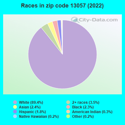 Races in zip code 13057 (2019)