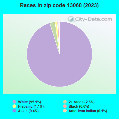 Races in zip code 13068 (2021)