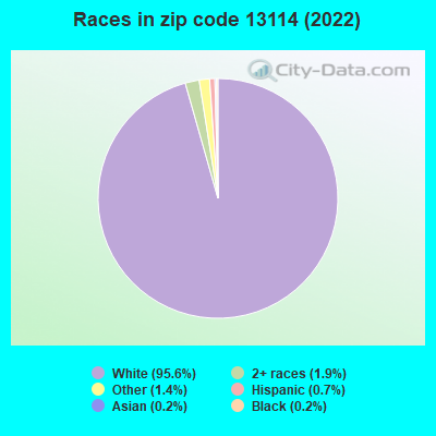 Races in zip code 13114 (2019)