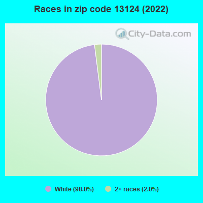 Races in zip code 13124 (2022)