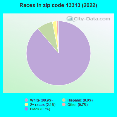 Races in zip code 13313 (2022)