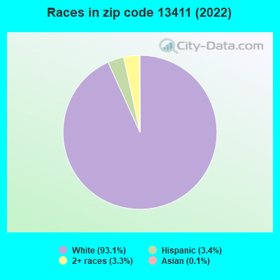 Races in zip code 13411 (2019)
