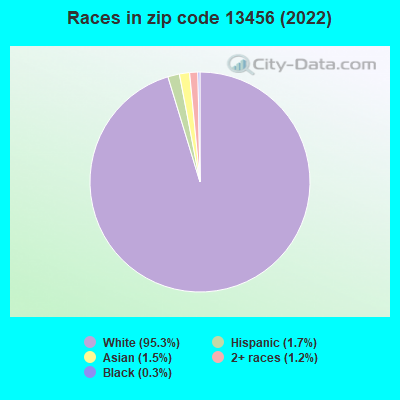 Races in zip code 13456 (2022)