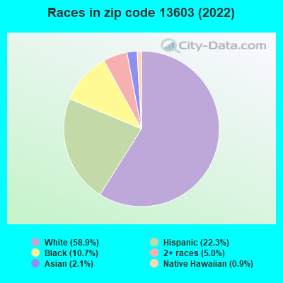 Races in zip code 13603 (2019)