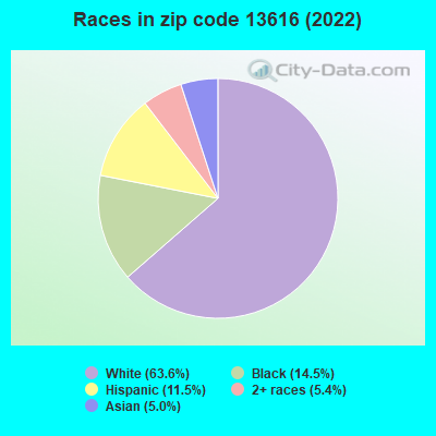 Races in zip code 13616 (2019)