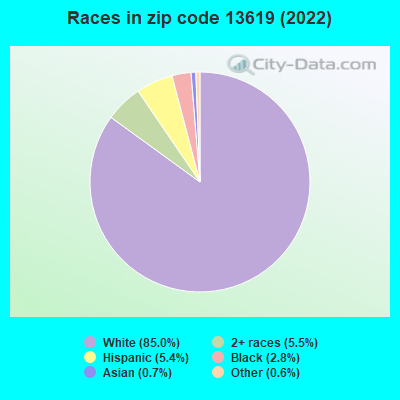Races in zip code 13619 (2021)