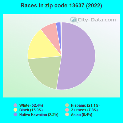 Races in zip code 13637 (2022)