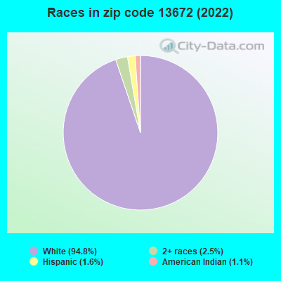 Races in zip code 13672 (2019)