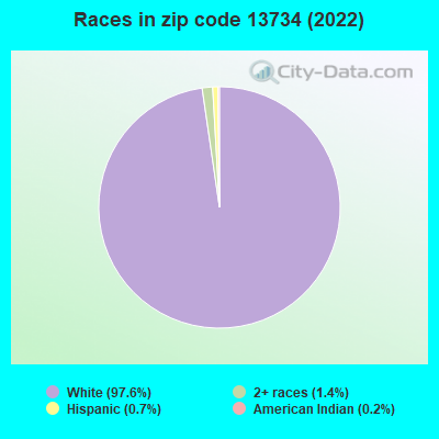 Races in zip code 13734 (2019)