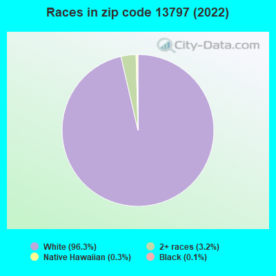 Races in zip code 13797 (2019)