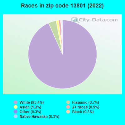 Races in zip code 13801 (2019)