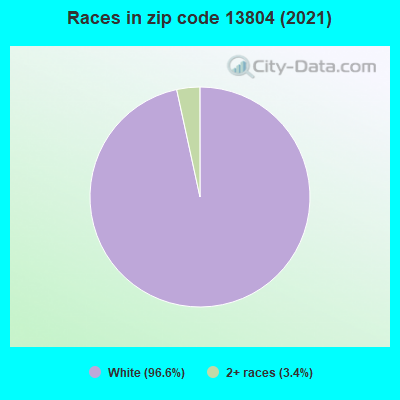 Races in zip code 13804 (2019)