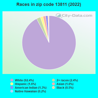 Races in zip code 13811 (2022)