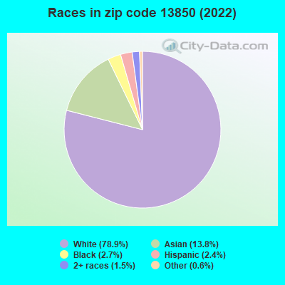 Races in zip code 13850 (2021)