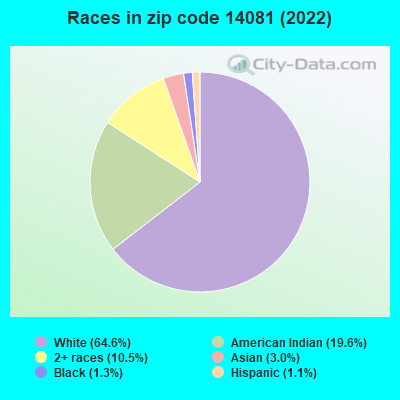 Races in zip code 14081 (2021)