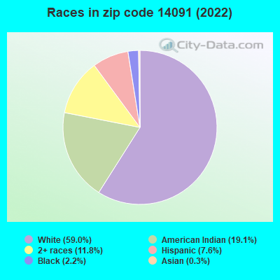 Races in zip code 14091 (2021)
