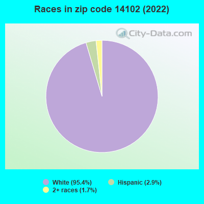 Races in zip code 14102 (2019)
