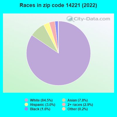 Races in zip code 14221 (2021)