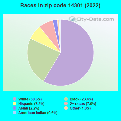 Races in zip code 14301 (2021)