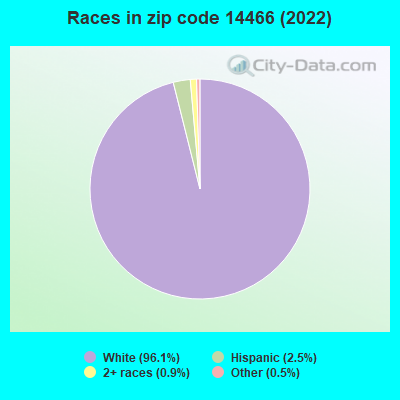Races in zip code 14466 (2019)