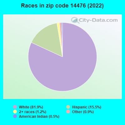 Races in zip code 14476 (2019)