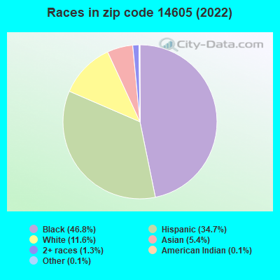 Races in zip code 14605 (2021)