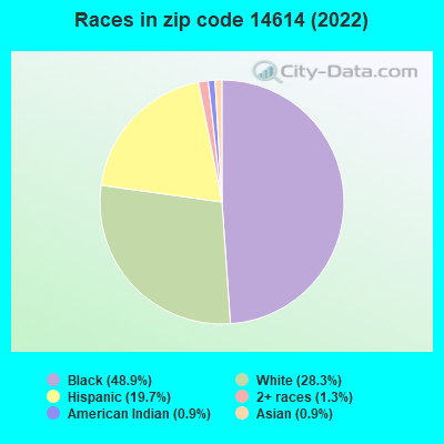 Races in zip code 14614 (2019)