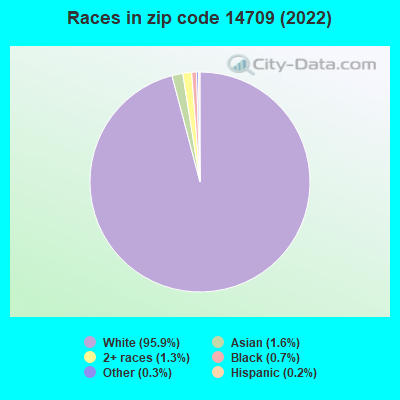 Races in zip code 14709 (2022)