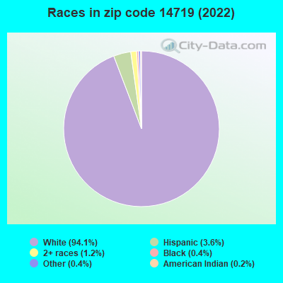 Races in zip code 14719 (2019)