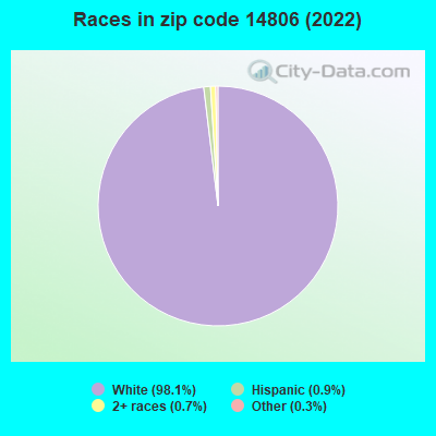 Races in zip code 14806 (2022)