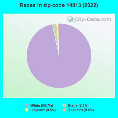 Races in zip code 14813 (2022)
