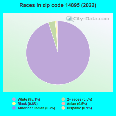 Races in zip code 14895 (2019)