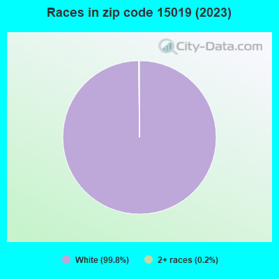 Races in zip code 15019 (2021)