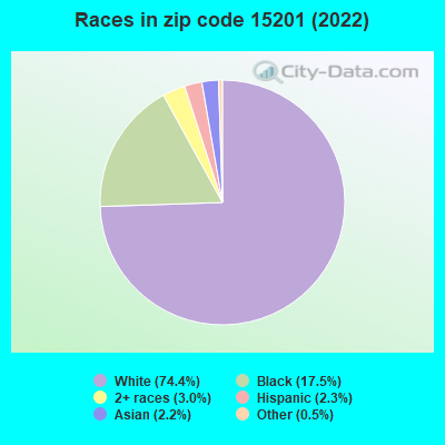 Races in zip code 15201 (2021)