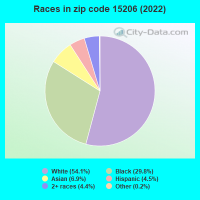 Races in zip code 15206 (2019)