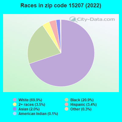 Races in zip code 15207 (2019)