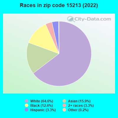 Races in zip code 15213 (2021)