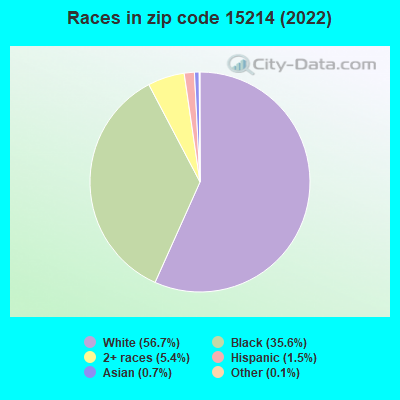 Races in zip code 15214 (2021)