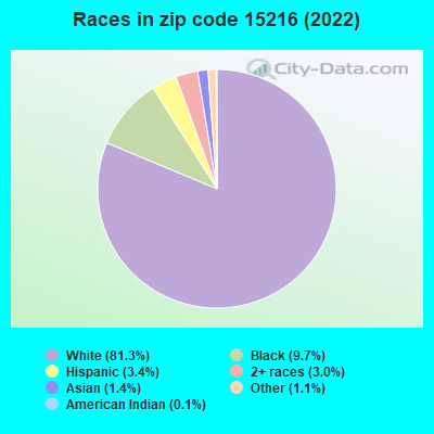 Races in zip code 15216 (2019)