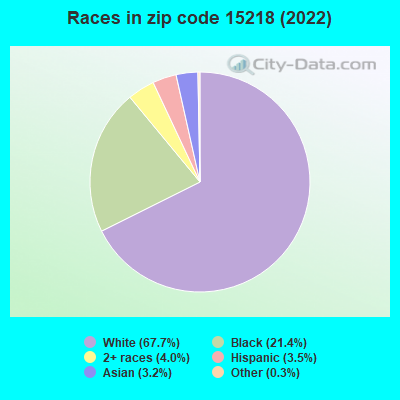 Races in zip code 15218 (2022)