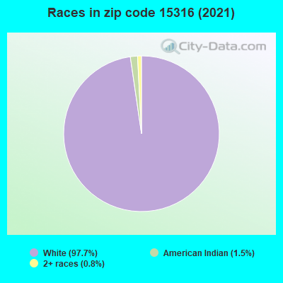 Races in zip code 15316 (2019)