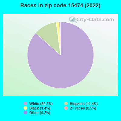 Races in zip code 15474 (2022)